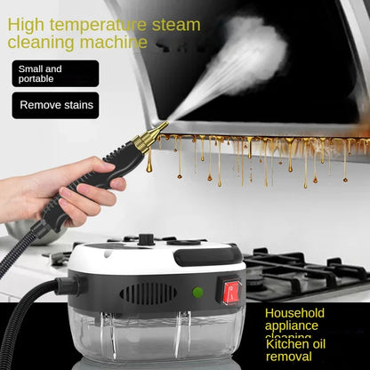 PowerSteam Handheld Deep-Clean Pro Everyday